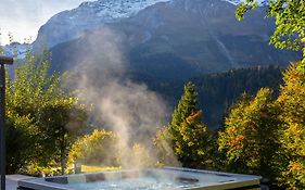 Hotel Waldegg